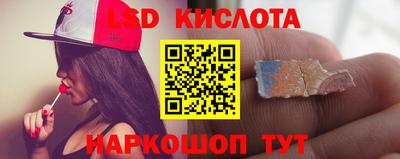 шишки Изобильный