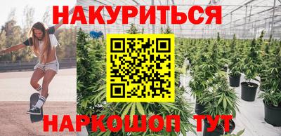 шишки Изобильный