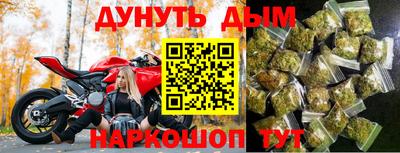 шишки Изобильный
