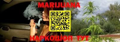 шишки Изобильный