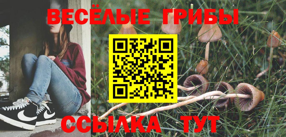 Энгельс  Псилоцибиновые грибы Cubensis  Вход с VPN  Галлюциногенные грибы мухоморы 