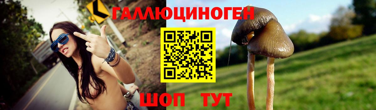 Галлюциногенные грибы Cubensis Энгельс